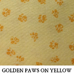 Golden Paws on Yellow