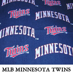 Minnesota Twins