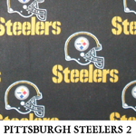 Pittsburgh Steelers 2