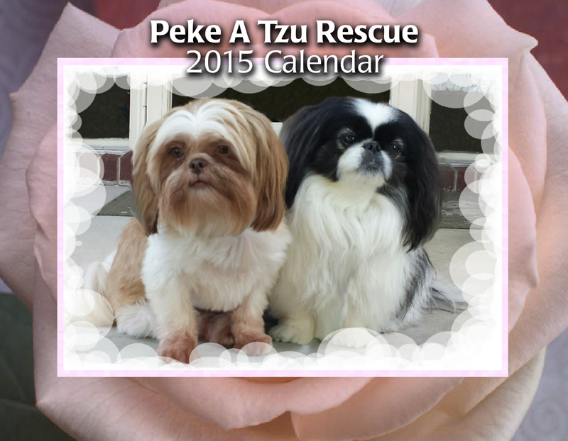 2015 Peke A Tzu Rescue Calendar