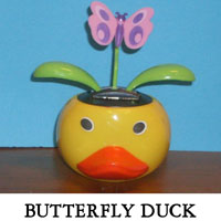 Butterfly Duck
