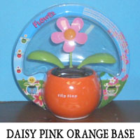 Daisy Pink Orange Base
