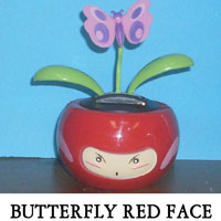 Butterfly Red Face