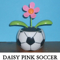Daisy Pink Soccer