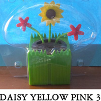 Daisy Yellow Pink 3